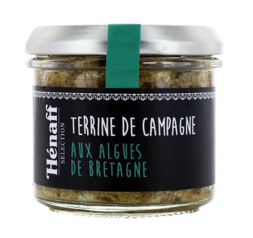 Landterrine_Alge